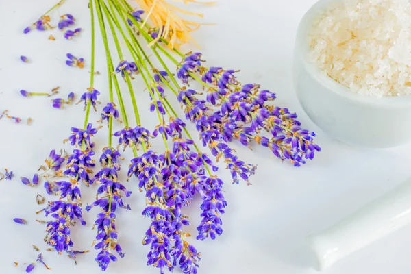 Lavendel met zeezout — Stockfoto