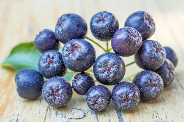 Black choke berry — Stock Photo, Image