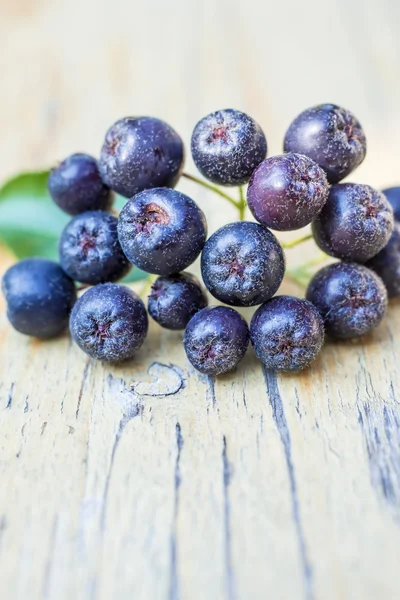 Black choke berry — Stock Photo, Image