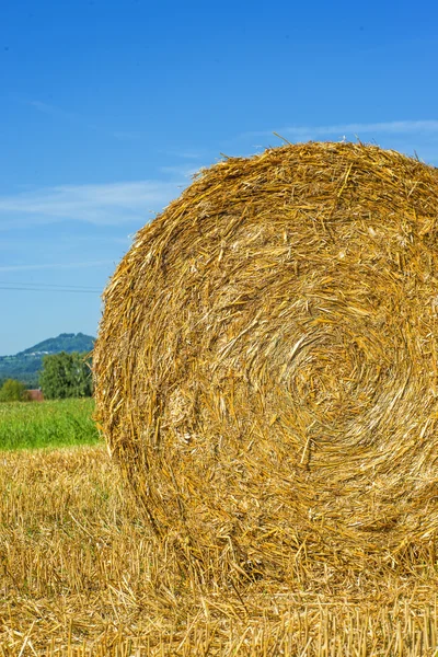 Straw bale — Stock Photo, Image