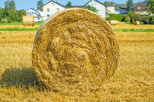 Straw bale — Stock Photo, Image