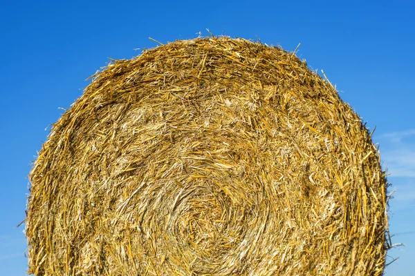 Straw bale — Stock Photo, Image