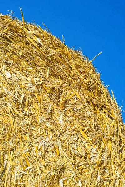 Straw bale — Stock Photo, Image