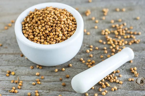 Coriander — Stock Photo, Image