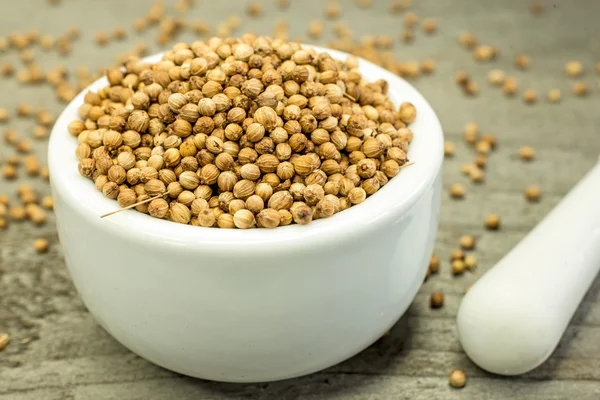 Coriander — Stock Photo, Image