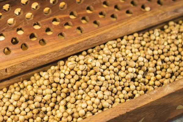 Coriander — Stock Photo, Image