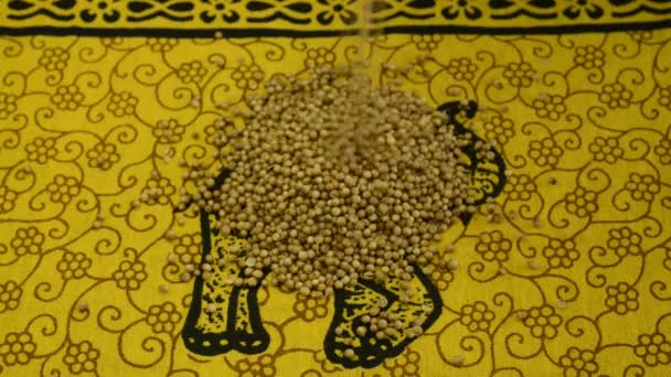 Семена кориандра падают — стоковое видео