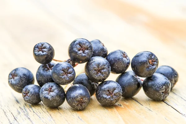 Black choke berry — Stock Photo, Image