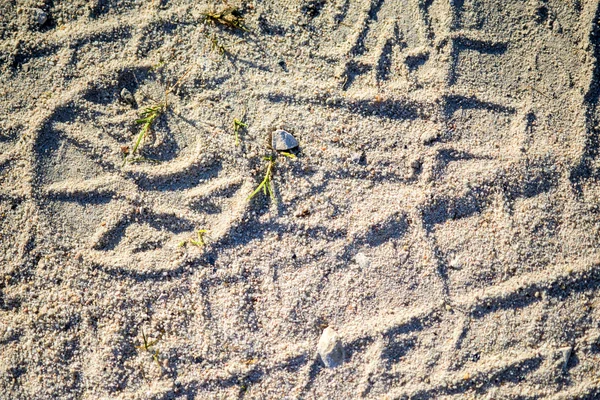 Διαδρομές στην άμμο — Φωτογραφία Αρχείου