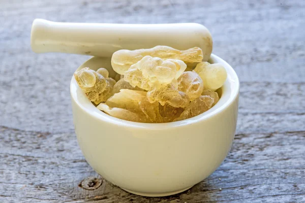 Olibanum, Boswellia serrata — Stock Photo, Image