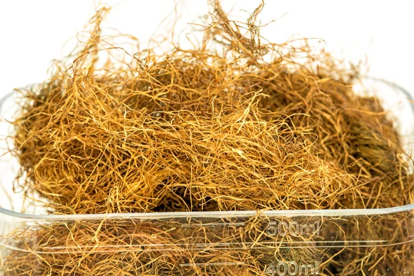 Maize beard tea — Stock Photo, Image