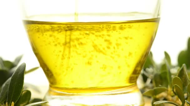 Aceite de oliva — Vídeo de stock