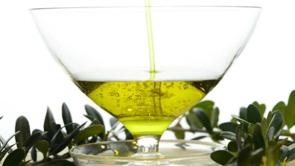 Olive oil — Stock Video