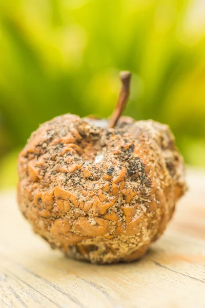 Manzana con agujero de gusano — Foto de Stock