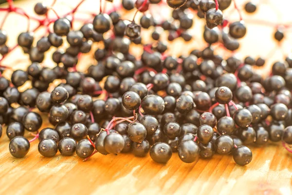 Elder berries — Stock Photo, Image