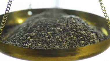 Chia tohumu