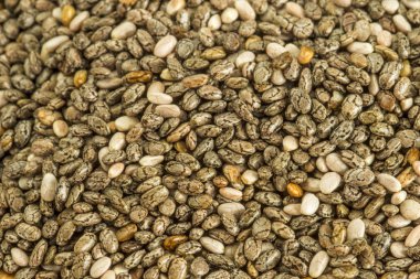 Chia tohumu, salvia hispanica