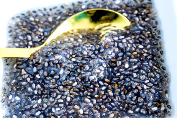 食事療法のための chia 種子ゼラチン — ストック写真