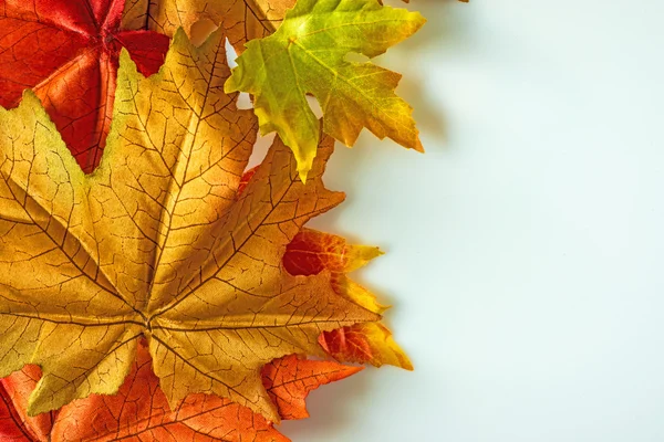 Herbstblätter — Stockfoto