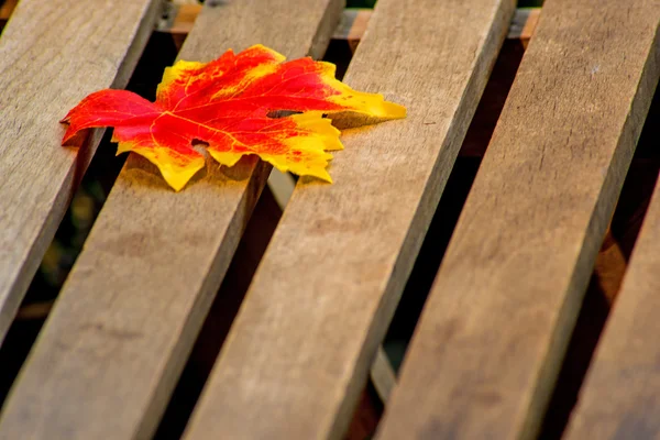 Leaf on a garden chair — Stock Photo, Image