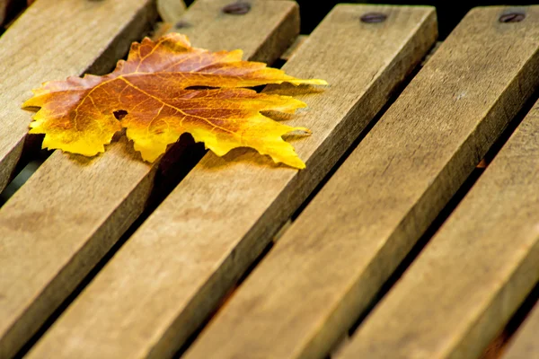 Листья на садовом стуле — стоковое фото