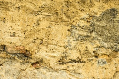 eski ve Ortaçağ Duvar