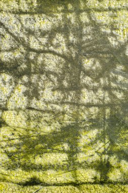 eski folyo ile modern resim