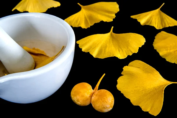 Ginkgo leaves and fruits with mortar — Stock Photo, Image