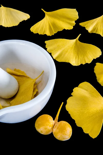 Ginkgo leaves and fruits with mortar — Stock Photo, Image