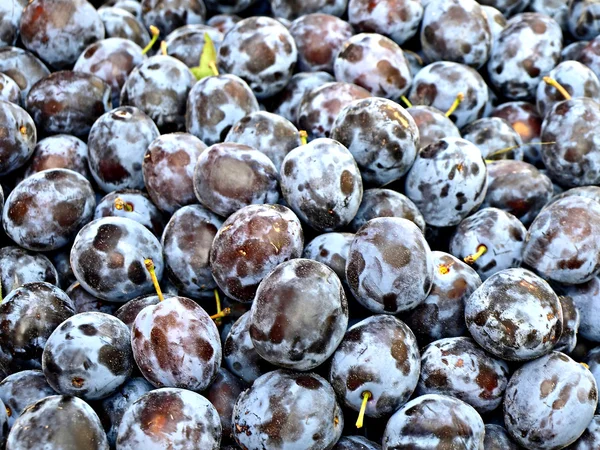 Sokak satışında Damson — Stok fotoğraf