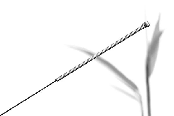 Acupuncture needle — Stock Photo, Image