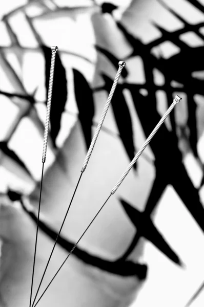 Acupuncture needles — Stock Photo, Image