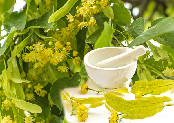 Lime-tree blossoms with mortar and tree — Stock Photo, Image
