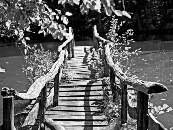 Alte Brücke am See — Stockfoto