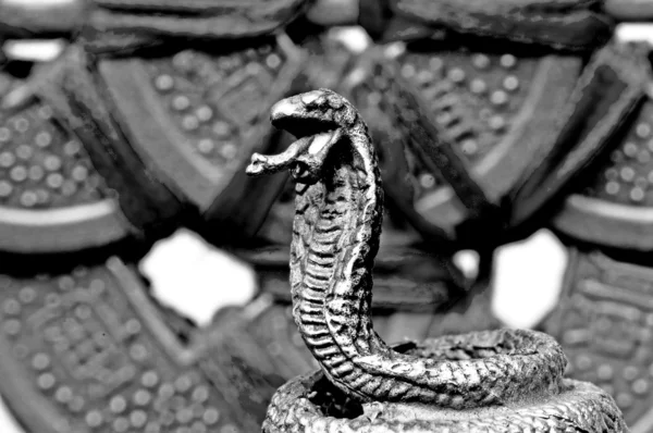 Feng shui année du serpent — Photo