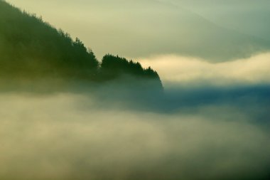 landschap in hoge mist