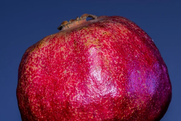 Granatapfel — Stockfoto