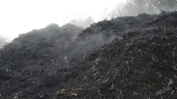 Kompost yığınları fuming — Stok video