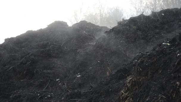 Fuming compost heaps — Stock Video