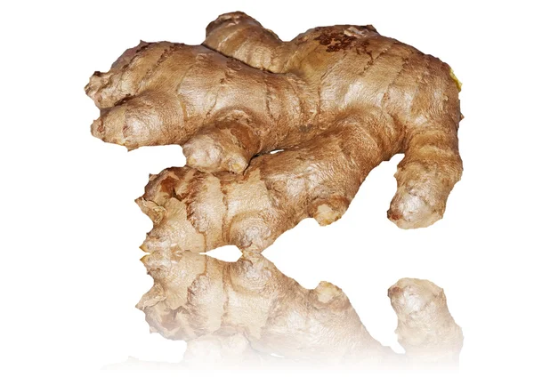 Ginger root — Stock Photo, Image