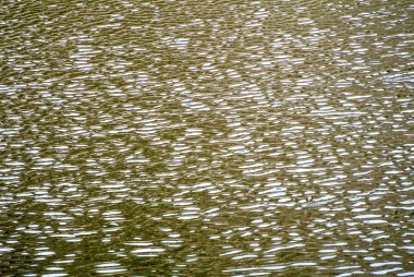 arka ışık yüzey su