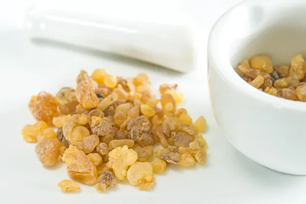 Olibanum, Boswellia serrata - Stok İmaj