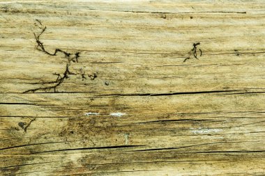 eski çürümüş plank