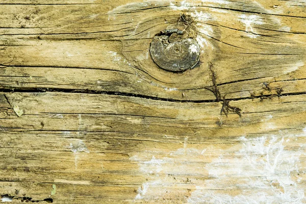 Old rotten plank — Stock Photo, Image