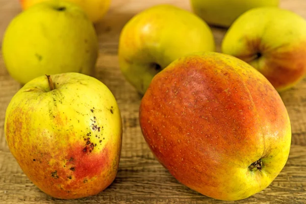 Pommes, des produits biologiques régionaux — Stok fotoğraf