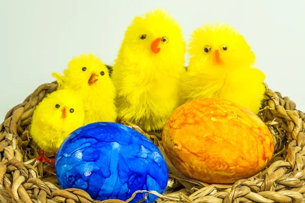 Великодній кошик з розфарбованими яйцями та заявниками — стокове фото