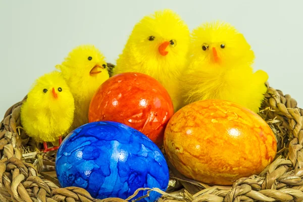 Великодній кошик з розфарбованими яйцями та заявниками — стокове фото