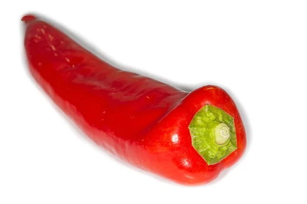 Röd, lång peppar — Stockfoto