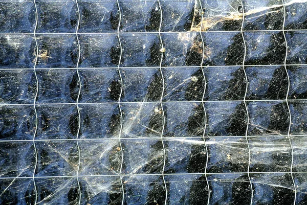 Okno z siatki i spider web — Zdjęcie stockowe