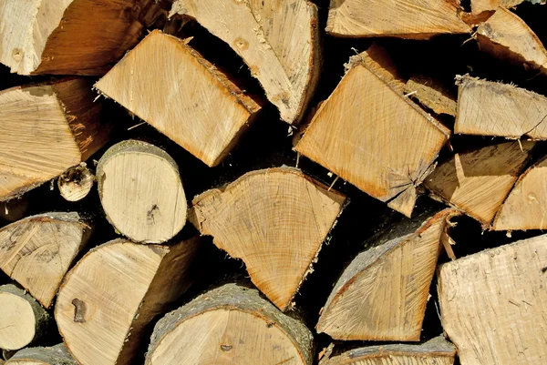 Fuel-wood — Stock Photo, Image